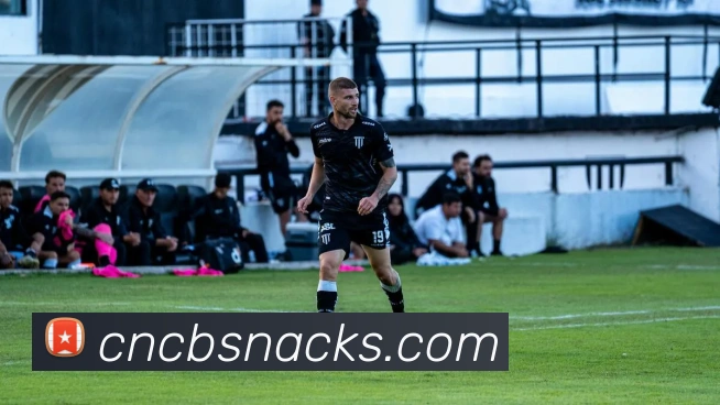 彩神vll平台生态图